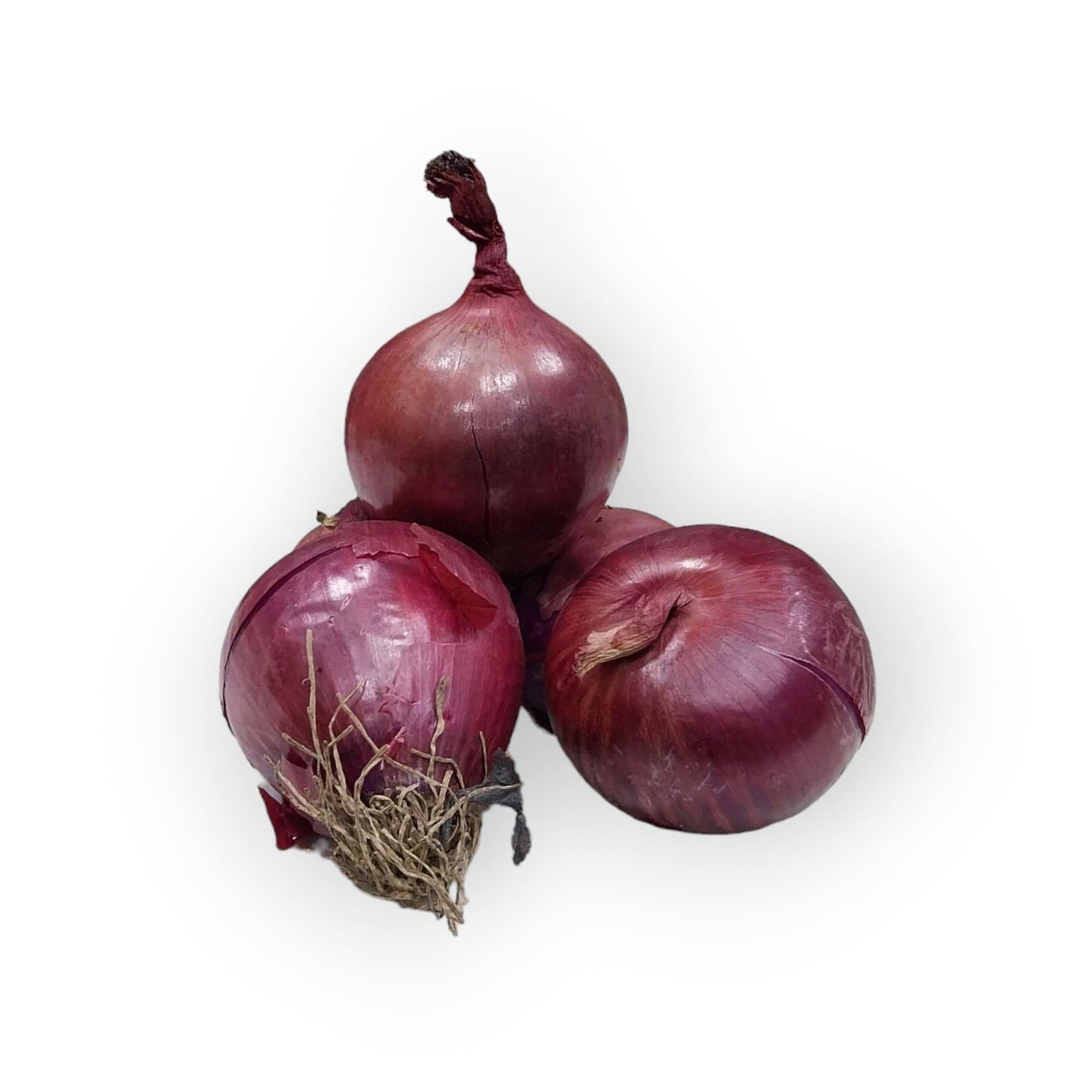 Cipolle Rosse Italiane