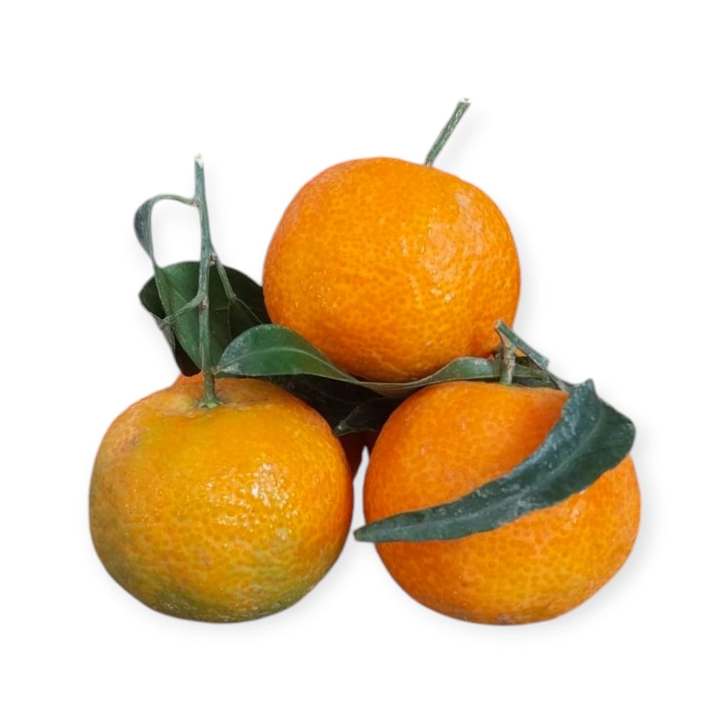 Clementine Italiane Senza Semi – Fresche e Dolci 100% Naturali