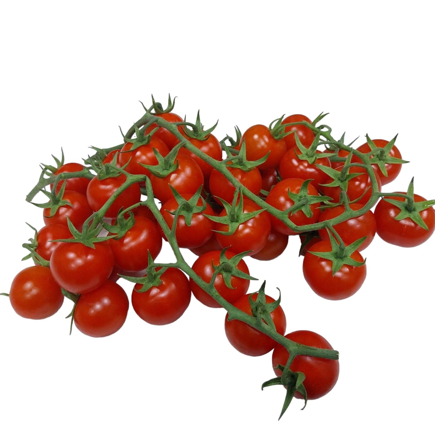 Pomodoro Ciliegino – Dolcezza e Succosità Perfette