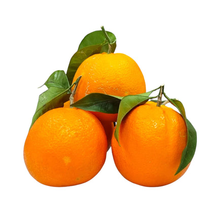 Arance Novellino da Tavola 9 kg – Zio Pietro