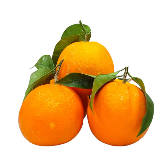 Arance Novellino da Tavola 9 kg – Zio Pietro