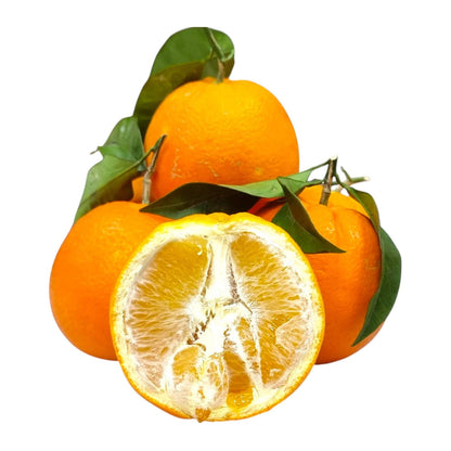 Arance Novellino da Tavola 9 kg – Zio Pietro