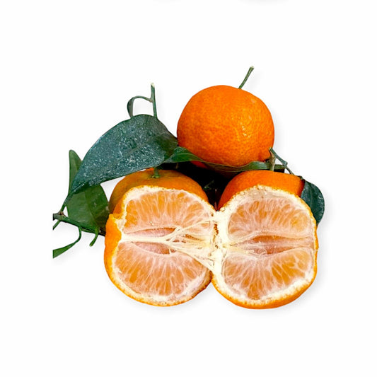 Clementine Italiane Senza Semi – Fresche e Dolci 100% Naturali