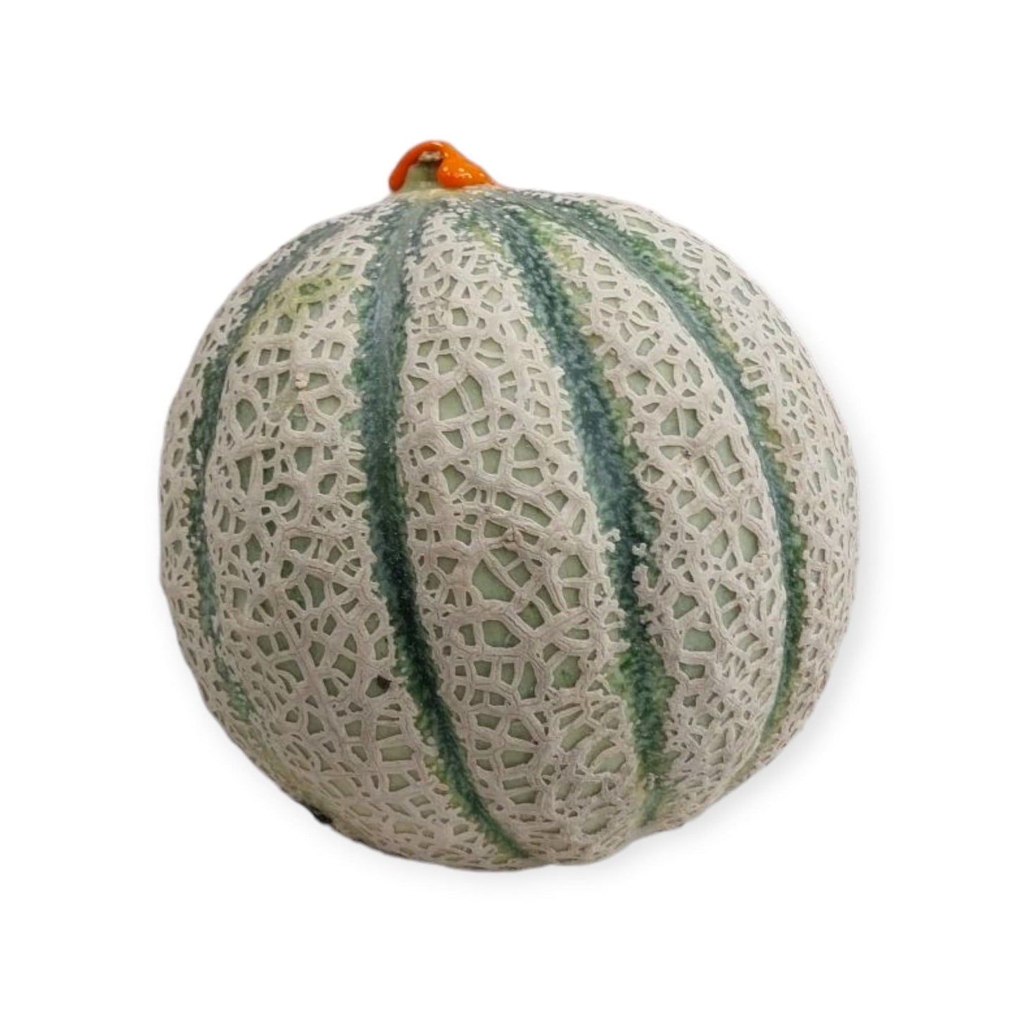 Melone Sugar Oro intero – varietà retata italiana con buccia a rete e profumo intenso

