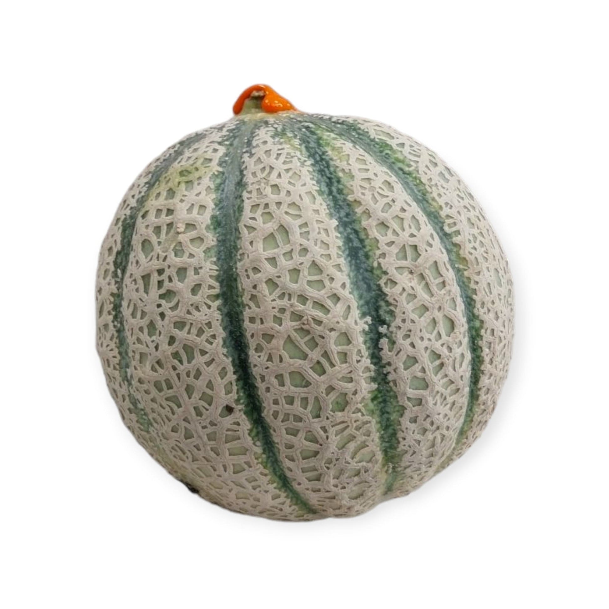 Melone Sugar Oro intero – varietà retata italiana con buccia a rete e profumo intenso


