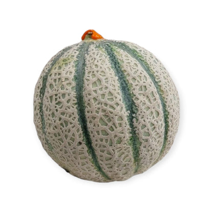 Melone Sugar Oro intero – varietà retata italiana con buccia a rete e profumo intenso

